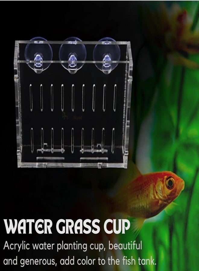 VAYINATO® 2 Pcs (Large-10CM) Acrylic Transparent Water Plant Holder with Strong Suction Cup for Aquarium Fish Tank, Aquaponic Plant Growing Landscape Decoration Water Plants by Petzlifeworld - Image 2